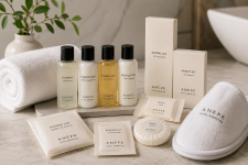Hotel Amenities